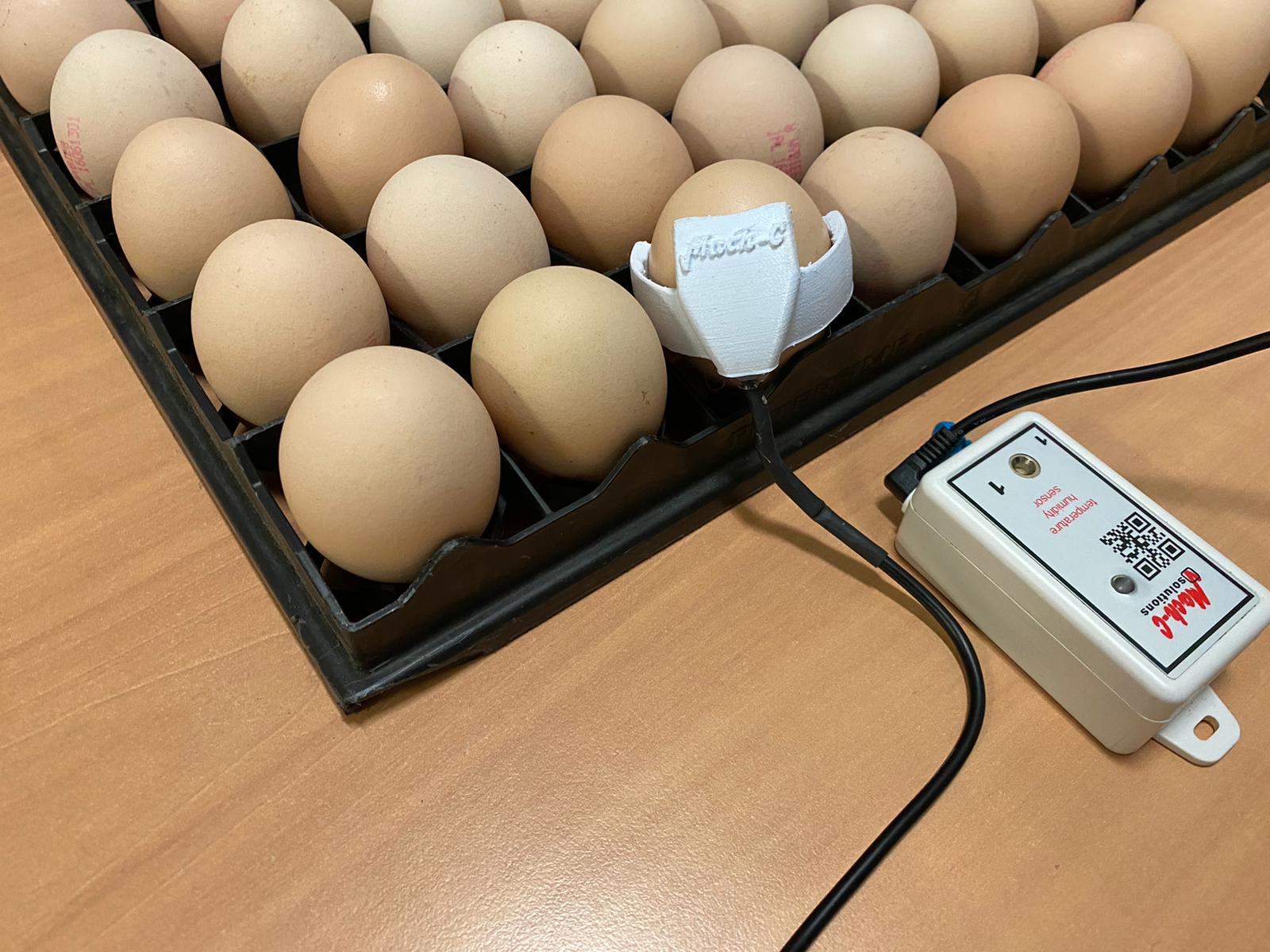 Unique Egg Shell Temperature probe